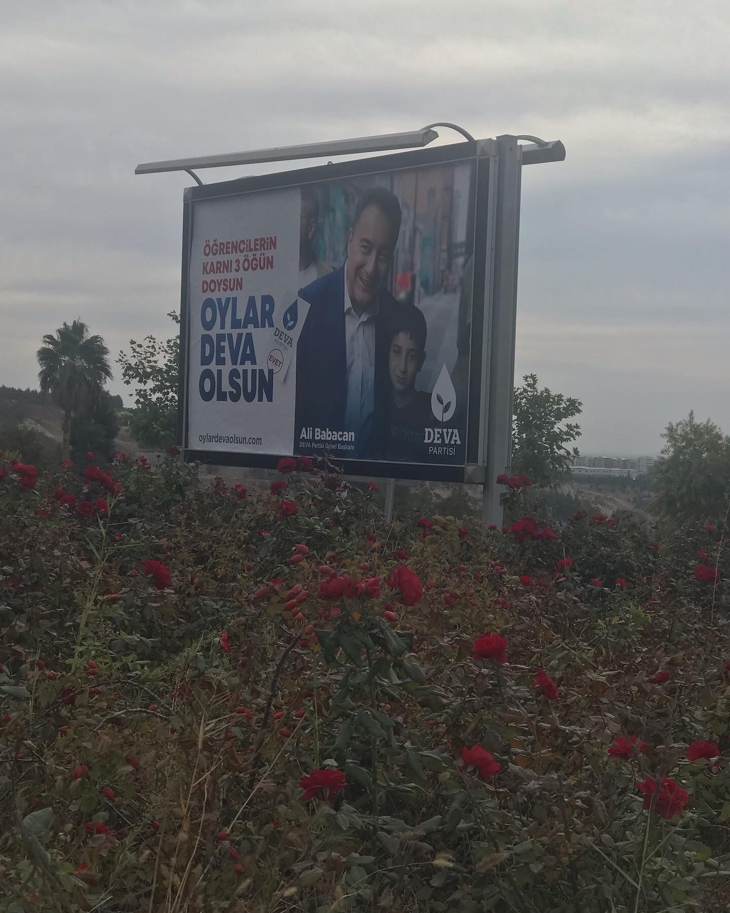 MAVİ YELEKLERİMİZLE SAHAYA ÇIKIYORUZ