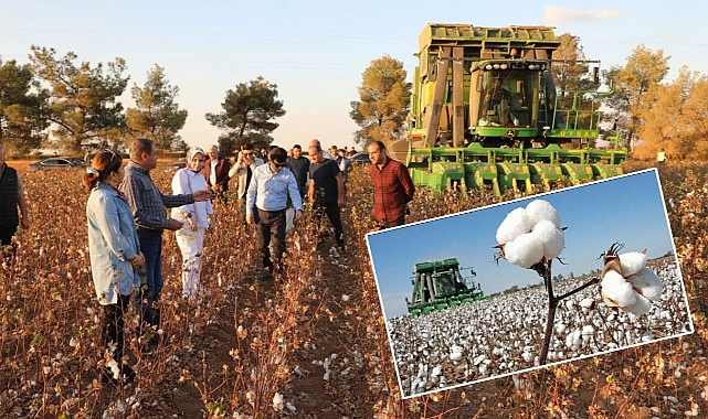 Vali Şıldak: Şanlıurfa, pamuk üretiminde Türkiye’de ilk sırada!