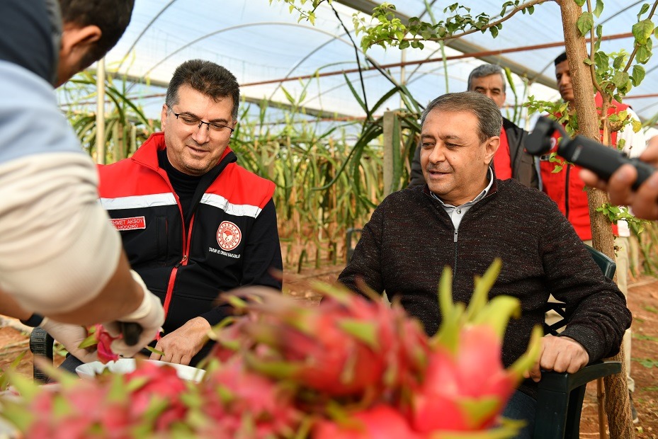 URFA’DA EJDER MEYVESİ ÜRETEN KADINA VALİ ŞILDAK’TAN TEBRİK ZİYARETİ